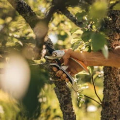 Fiskars Schere 'Plus PowerLever', Schwarz/orange 5 Fiskars Schere 'Plus PowerLever', Schwarz/orange -LECHUZA Verkaufs-Shop 0920300707 Plus PowerLever Metall Bypass Gartenschere 3 106801