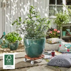 LECHUZA Verkaufs-Shop -LECHUZA Verkaufs-Shop 0920600467 multi roller wpc terracotta 3 116653