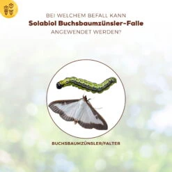 Solabiol Buchsbaumzünsler-Falle, Ausreichend Für Bis Zu 180 M² -LECHUZA Verkaufs-Shop 0950200723 Buchsbaumzuensler Falle fuer bis zu 180qm Flaeche 1 107232