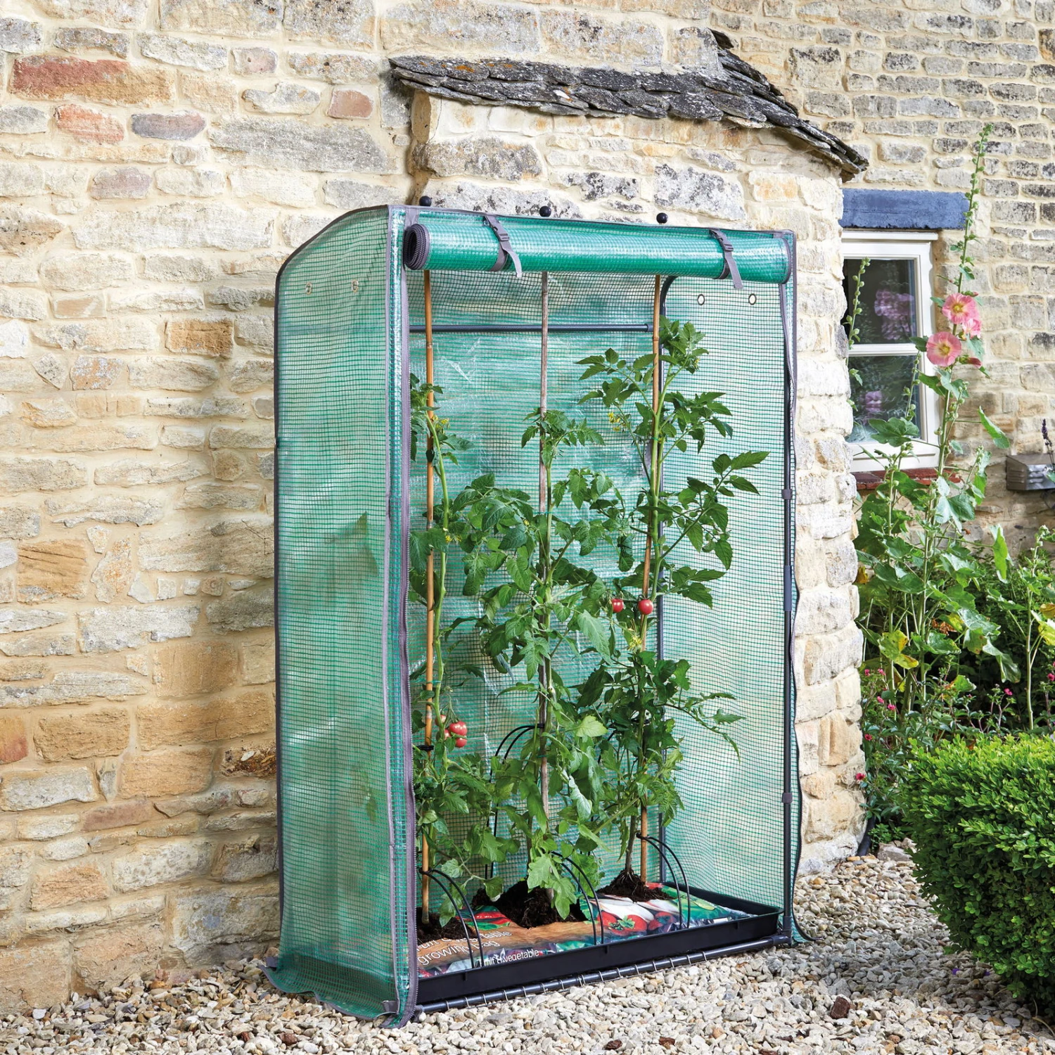 Tomatengewächshaus 'Tomato GroZone', Ca. 150 X 100 X 40 Cm 3 Tomatengewächshaus 'Tomato GroZone', Ca. 150 X 100 X 40 Cm – Bild 3