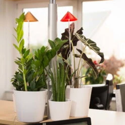 Sunlite Pflanzenlampe Kupfer, 7 Watt 9 Sunlite Pflanzenlampe Kupfer, 7 Watt -LECHUZA Verkaufs-Shop 2950200231 Sunlite Pflanzenlampe Kupfer 7W 1 60399