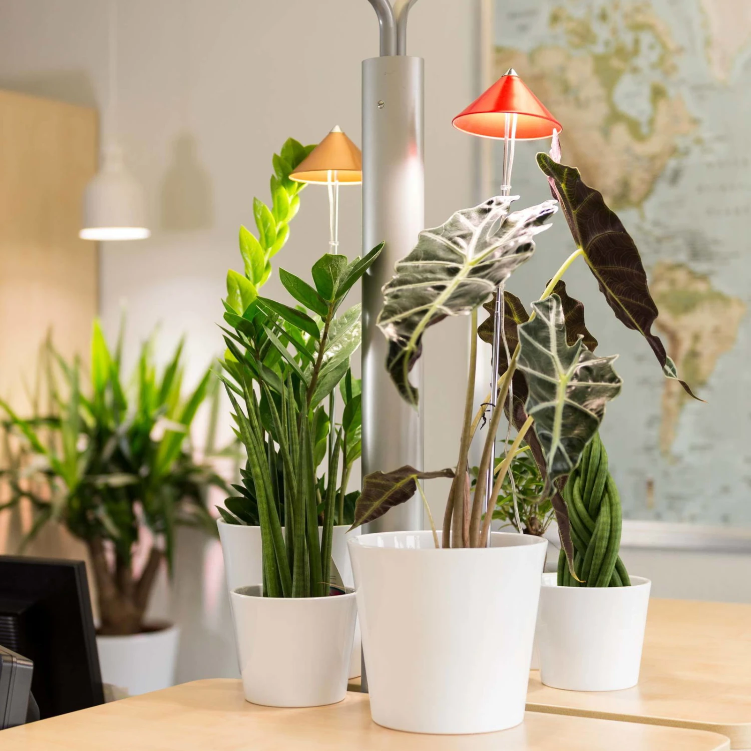 Sunlite Pflanzenlampe Kupfer, 7 Watt 4 Sunlite Pflanzenlampe Kupfer, 7 Watt – Bild 4