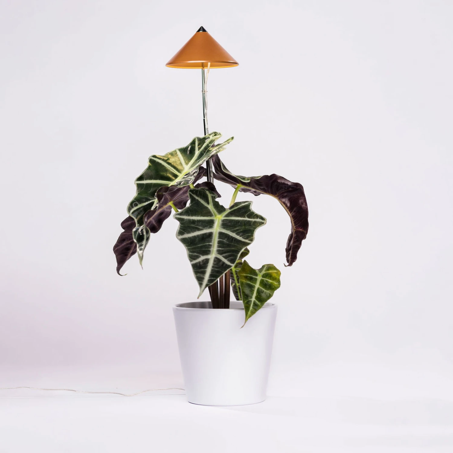 Sunlite Pflanzenlampe Kupfer, 7 Watt 2 Sunlite Pflanzenlampe Kupfer, 7 Watt – Bild 2