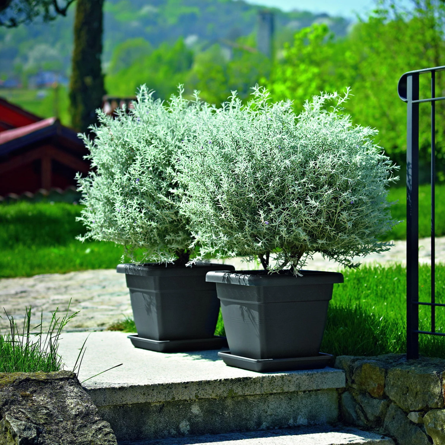 Euro 3 Plast Pflanzkübel Krea Quadro Anthrazit 1 Euro 3 Plast Pflanzkübel Krea Quadro Anthrazit