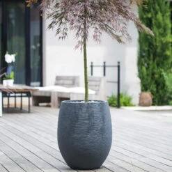 Pflanzgefäß Graphit Egg, Anthrazit, Wasserdicht, Robust 11 Pflanzgefäß Graphit Egg, Anthrazit, Wasserdicht, Robust -LECHUZA Verkaufs-Shop 3210103698 Pflanzgefaess Graphit Egg anthrazit D50xH60cm 53Ltr 1 62076