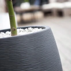 Pflanzgefäß Graphit Egg, Anthrazit, Wasserdicht, Robust 10 Pflanzgefäß Graphit Egg, Anthrazit, Wasserdicht, Robust -LECHUZA Verkaufs-Shop 3210103698 Pflanzgefaess Graphit Egg anthrazit D50xH60cm 53Ltr 2 62075