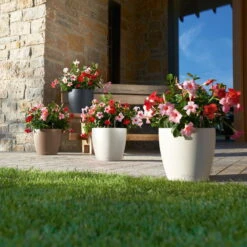 LECHUZA Pflanzgefäß 'Classico Color 70', Grau, Ø 70 X H 64,5 Cm -LECHUZA Verkaufs-Shop 3210103919 Pflanzgefaess Classico Color 60 All in 1 schiefergrau 3 109198 1