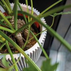 Pflanzgefäß 'Groove', Elfenbein, Ø 35 X H 34 Cm -LECHUZA Verkaufs-Shop 3210104106 3210104107 3210104108 pflanzgefaess pflanzvase groove 116896