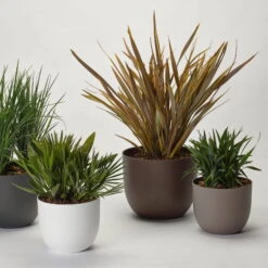 Pflanzkübel 'Rio', Weiß, Ø 34 X H 28 Cm -LECHUZA Verkaufs-Shop 3210104130 3210104131 3210104132 3210104133 pflanzkuebel rio 122622