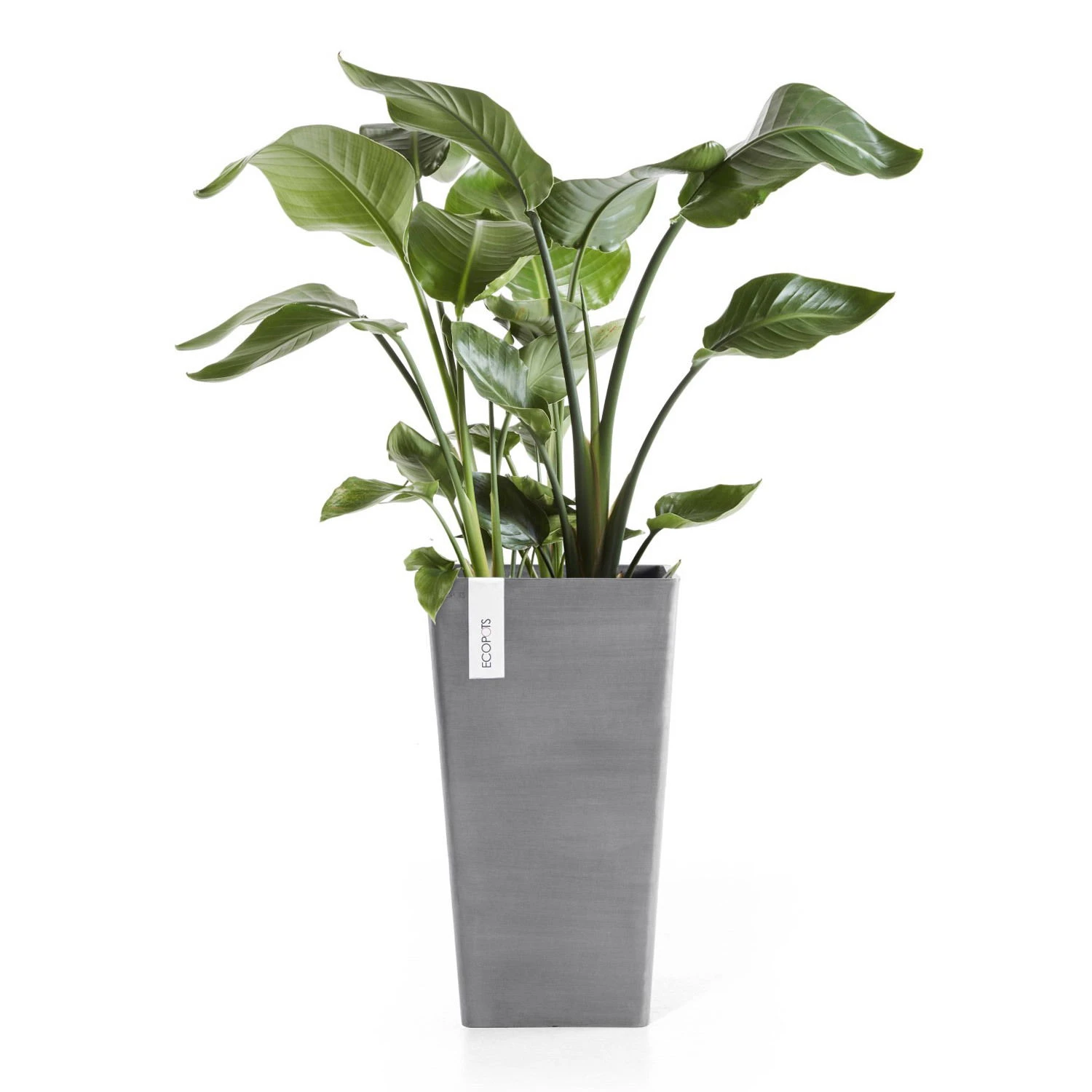 Pflanzgefäß 'Rotterdam MidHigh', Grau, Ø 31 X H 56 Cm 2 Pflanzgefäß 'Rotterdam MidHigh', Grau, Ø 31 X H 56 Cm – Bild 2