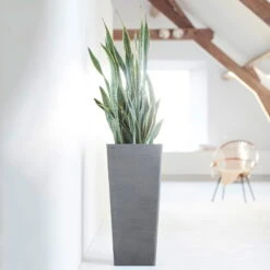 Pflanzgefäß 'Rotterdam MidHigh', Grau 5 Pflanzgefäß 'Rotterdam MidHigh', Grau -LECHUZA Verkaufs-Shop 3210104153 pflanzgefaess rotterdam high 1 117471