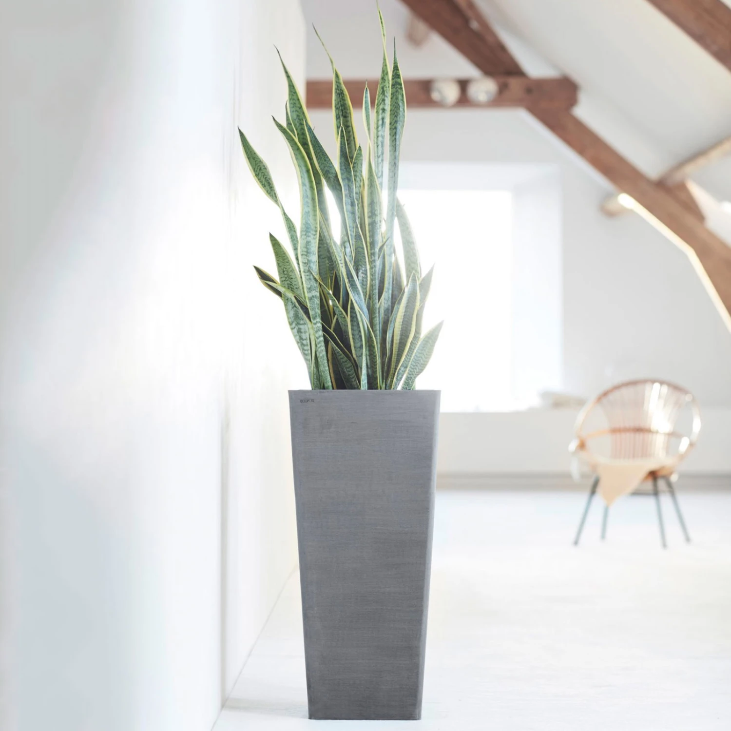 Pflanzgefäß 'Rotterdam MidHigh', Grau 3 Pflanzgefäß 'Rotterdam MidHigh', Grau – Bild 3