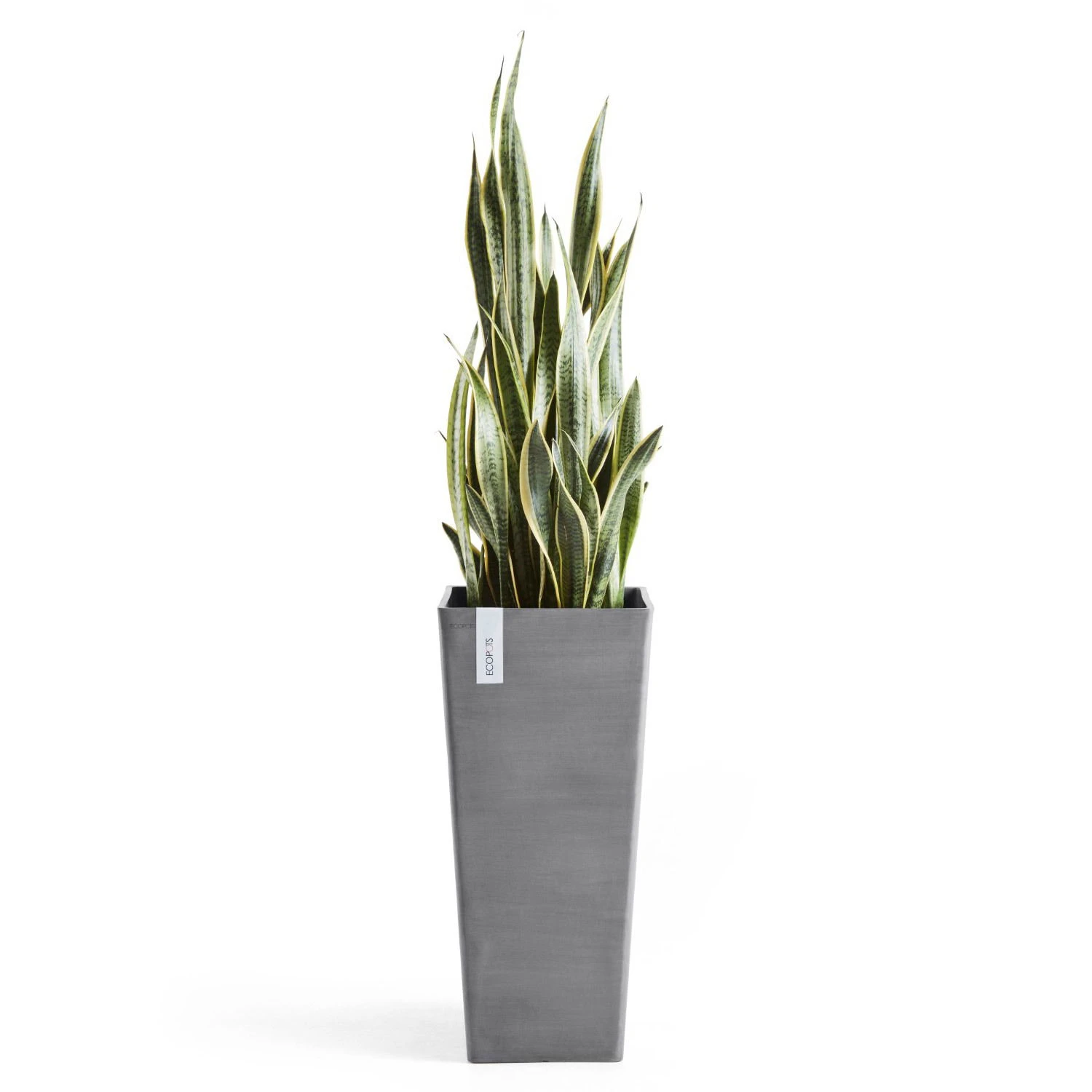 Pflanzgefäß 'Rotterdam MidHigh', Grau 2 Pflanzgefäß 'Rotterdam MidHigh', Grau – Bild 2