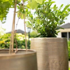 Pflanzgefäß 'Rowen', Gold, Ø 47 X H 82 Cm 14 Pflanzgefäß 'Rowen', Gold, Ø 47 X H 82 Cm -LECHUZA Verkaufs-Shop 3210801630 3210801631 3210801632 3210801633 Pflanzgefaess Rowen gold 2 115015