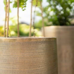 Pflanzgefäß 'Rowen', Gold, Ø 38 X H 62 Cm 13 Pflanzgefäß 'Rowen', Gold, Ø 38 X H 62 Cm -LECHUZA Verkaufs-Shop 3210801630 3210801631 3210801632 3210801633 Pflanzgefaess Rowen gold 3 115016 1