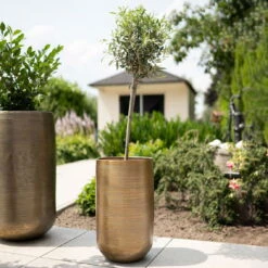 Pflanzgefäß 'Rowen', Gold, Ø 47 X H 82 Cm 12 Pflanzgefäß 'Rowen', Gold, Ø 47 X H 82 Cm -LECHUZA Verkaufs-Shop 3210801630 3210801631 3210801632 3210801633 Pflanzgefaess Rowen gold 4 115017