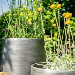 Pflanzgefäß 'Rowen', Silber, Ø 38 X H 62 Cm -LECHUZA Verkaufs-Shop 3210801635 3210801636 3210801637 3210801638 Pflanzgefaess Rowen silber 12 115029 1