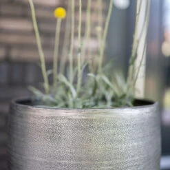 Pflanzgefäß 'Rowen', Silber, Ø 47 X H 82 Cm 17 Pflanzgefäß 'Rowen', Silber, Ø 47 X H 82 Cm -LECHUZA Verkaufs-Shop 3210801635 3210801636 3210801637 3210801638 Pflanzgefaess Rowen silber 7 115026