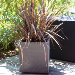 Pflanztrog 'Volcania Dado', Anthrazit, L 39,5 X B 39,5 X H 43,5 Cm -LECHUZA Verkaufs-Shop 3230101084 Pflanztrog Volcania Dado anthrazit 39x39xH43cm 31Ltr6 75428