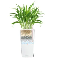 LECHUZA Cubico Premium 40, Weiß Hochglanz, All-in-One-Set, 40 X 40, H:75 Cm -LECHUZA Verkaufs-Shop 3325100114 CubicoPremium22 weiss All in One Set 22x22x41cm RGB 7573 1