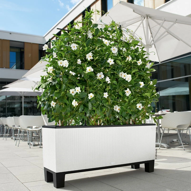 Lechuza Trio Cottage 30, Weiß, All-in-One-Set – Bild 2